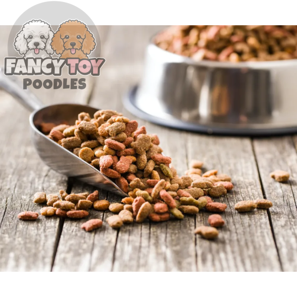 product-thumb-10_optimized Massa Aliquam