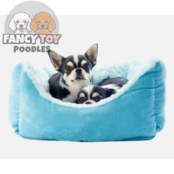 product-thumb-18_optimized Euismod Nisi