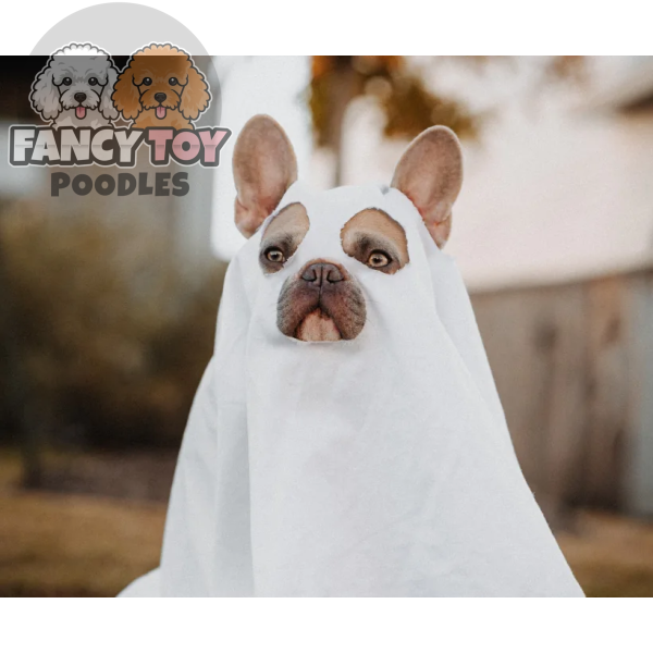 product-thumb-5_optimized Consectetur Adipiscing