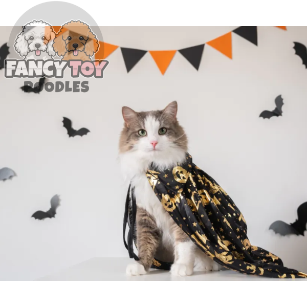 product-thumb-6_optimized Vestibulum Morbi