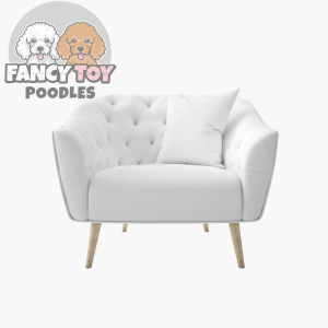 product-1 Tempor Commodo