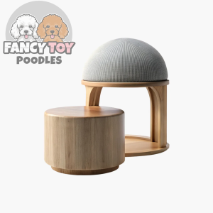 product-18 Natoque Penatibus