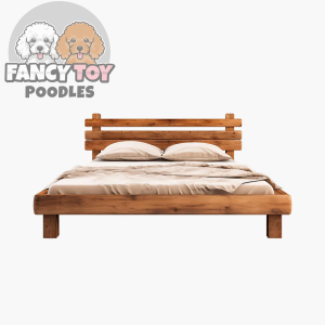 product-40 Platea Enim