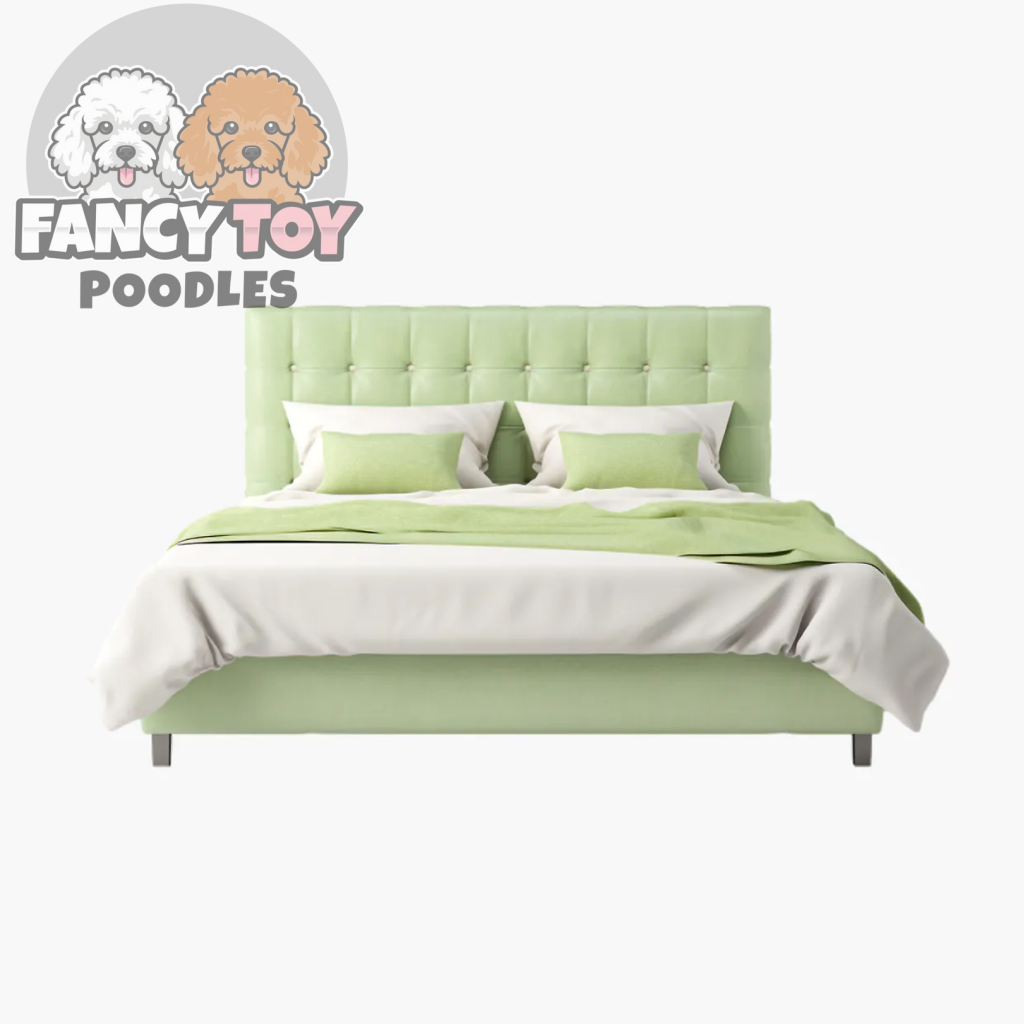 product-42 Felis Vehicula