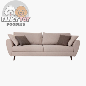 product-6 Malesuada Fames