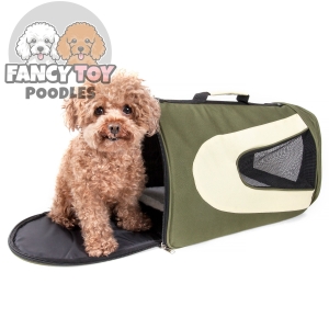 Airline Approved Folding Zippered Sporty Mesh Pet Carrier Folding Zippered Sporty Mesh Pet Carrier