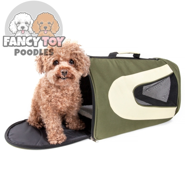 Airline Approved Folding Zippered Sporty Mesh Pet Carrier Folding Zippered Sporty Mesh Pet Carrier