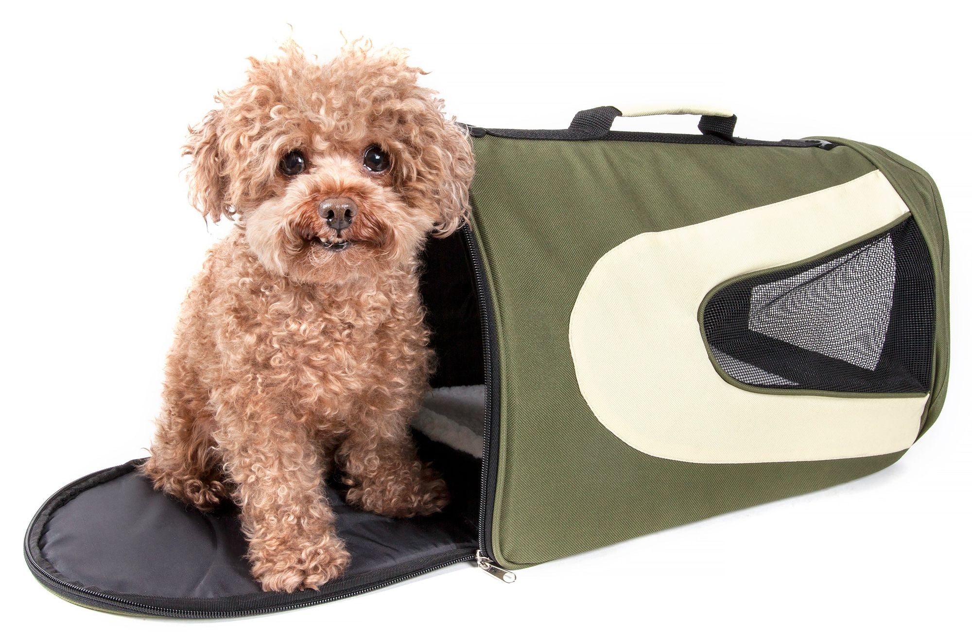 Folding Zippered Sporty Mesh Pet Carrier