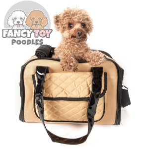 Mystique Fashion Pet Carrier