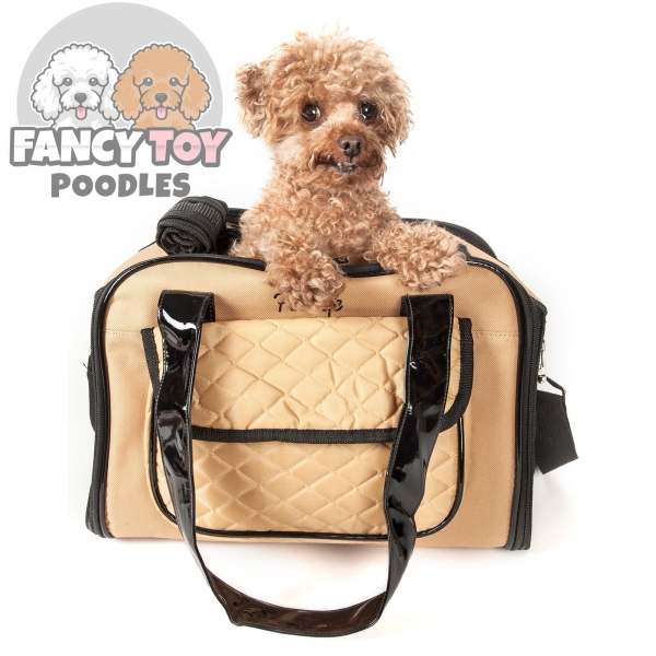Airline Approved Mystique Fashion Pet Carrier Mystique Fashion Pet Carrier