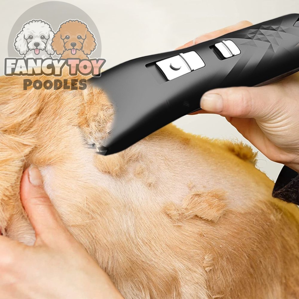 pet shaver