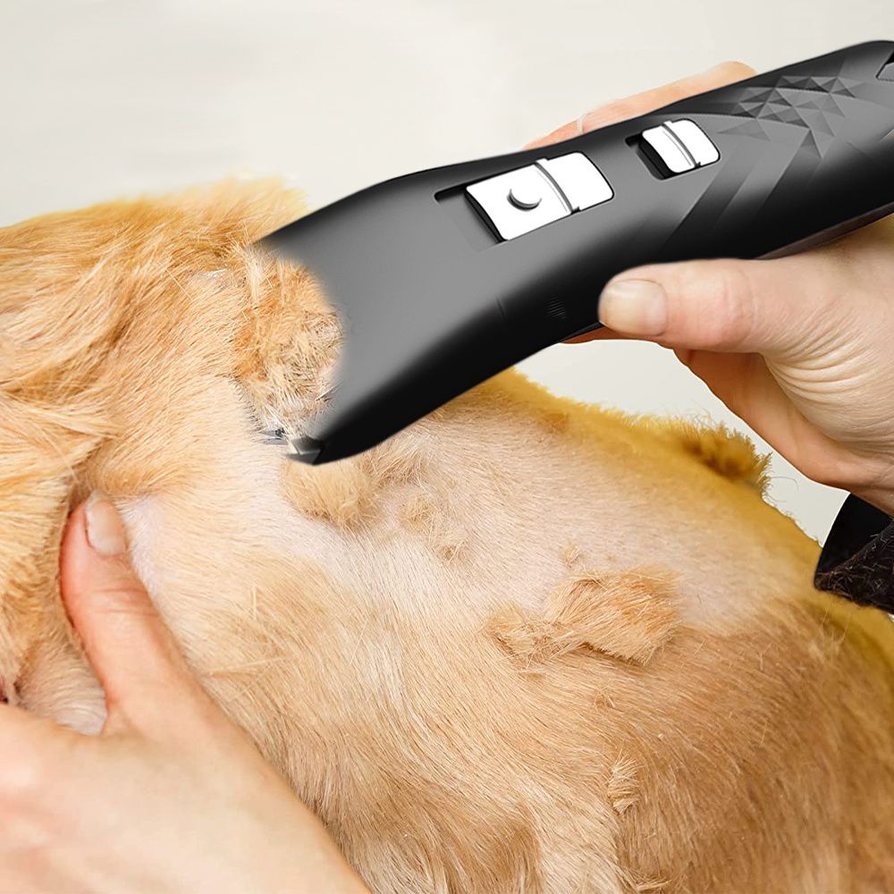 pet shaver