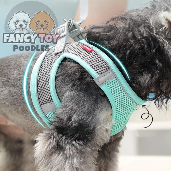 Dog Breathable Lightweight Harness Vest