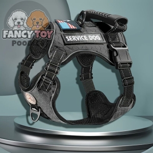 Dog Harness And Leash Set Vest