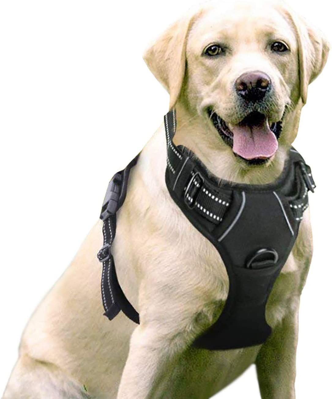Dog Harness With 2 Leash Clips For Small Medium & Large Dogs Dog Harness with 2 Leash Clips