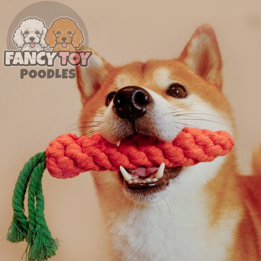 Dog Rope Toy For Teeth Grinding And Cleaning Teeth Dog Rope Toy