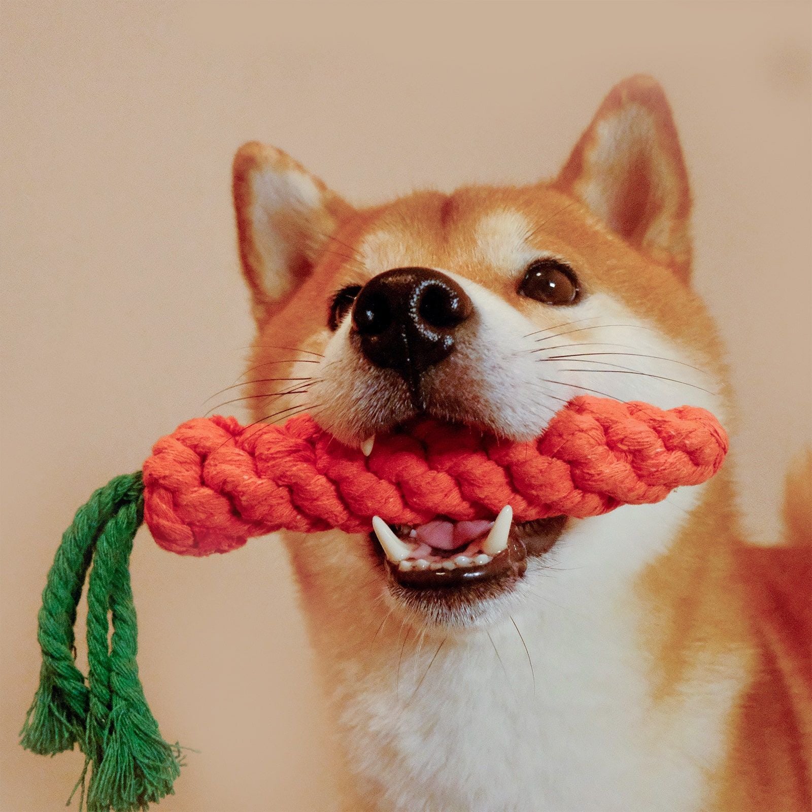 Dog Rope Toy