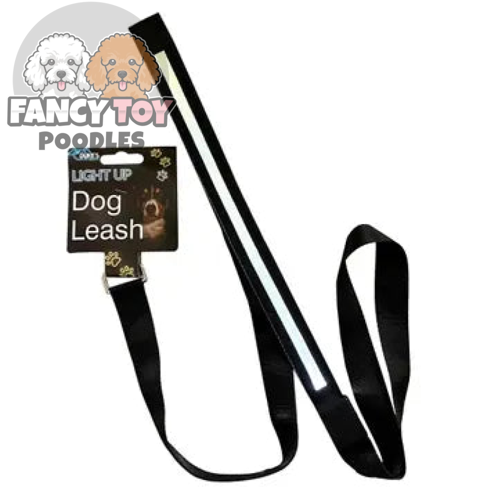 Light Up Dog Walking Leash