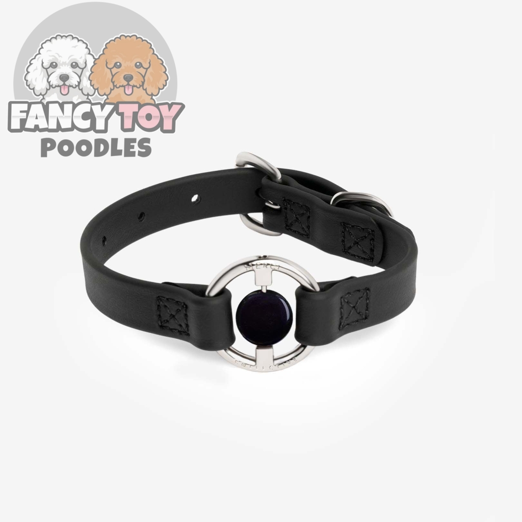 Luxury Dog Collar Embedded with Healing Crystal